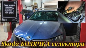 Самое простое и быстрое решение вечной болячки селектора Skoda