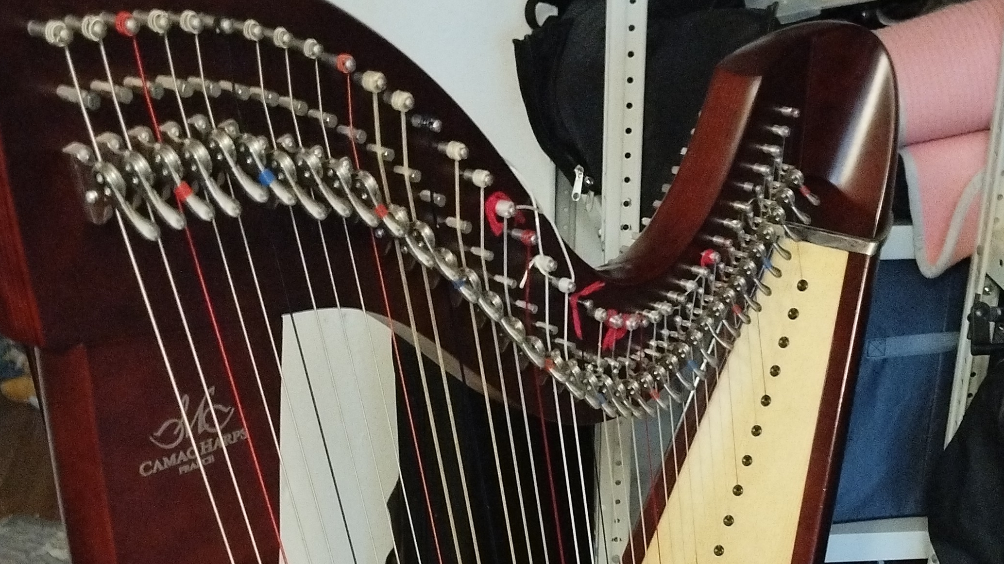 Вечерняя арфа