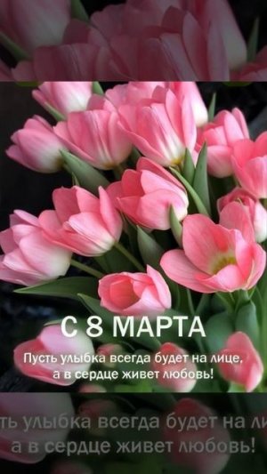 Футаж. 8 марта. Тюльпаны.