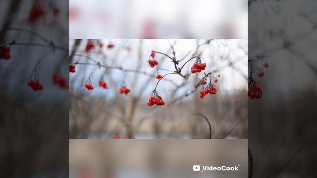 Ноябрьская зарисовка смотреть онлайн