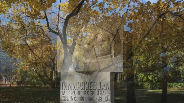 Осенний парк ДУБКИ смотреть онлайн