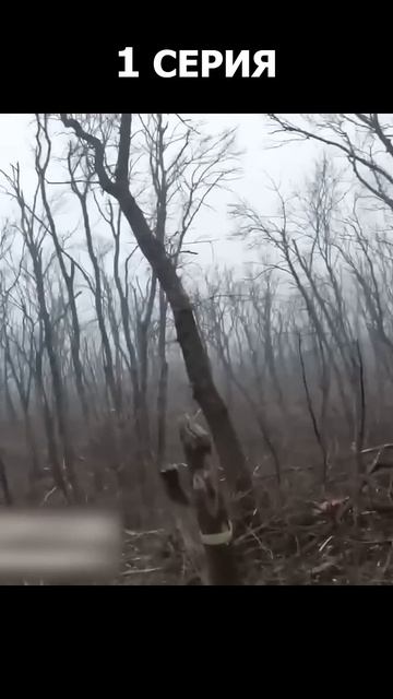 Серия - 1 Попытка штурма ВДВ позиций бойцов Украины. Продолжение завтра 2025. смотреть онлайн