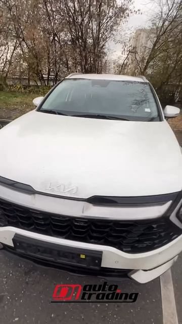 Отзыв клиента, Kia Sportage | DI AUTO TRADING - Авто из Кореи смотреть онлайн