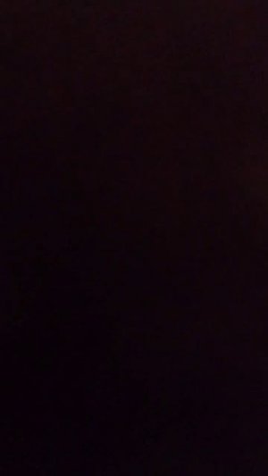 украдите брейнрот