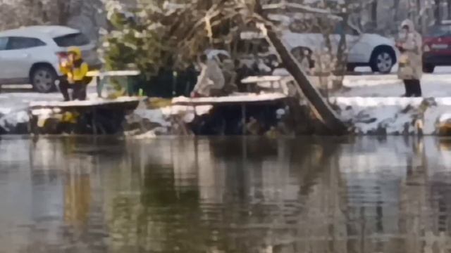 Светлые Горы Форель 16.11.2025г. смотреть онлайн