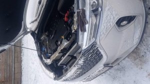 штатные сигналы хавал м6