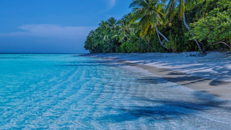 VA - Seaside Chill - Lounge & Relaxing Music (2025) смотреть онлайн