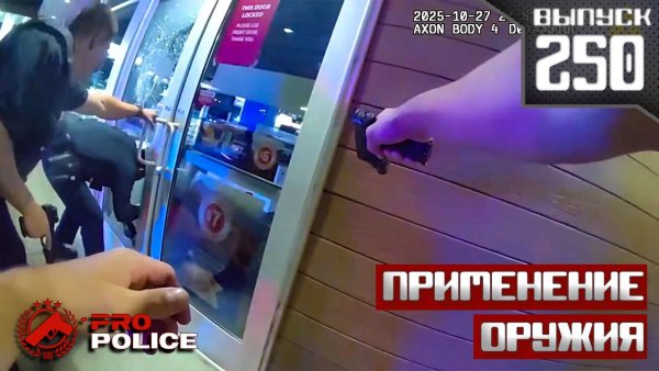 Применение оружия полицейскими: Западня для офицеров [Выпуск 250 2025]