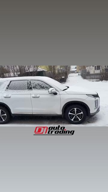 Отзыв клиента, Hyundai Palisade | DI AUTO TRADING - Авто из Кореи смотреть онлайн