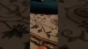 Таисия Карамелька