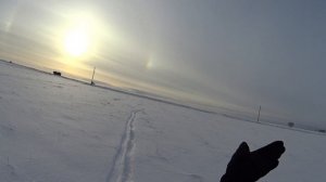 #Охота в Черепановском районе Новосибирской области