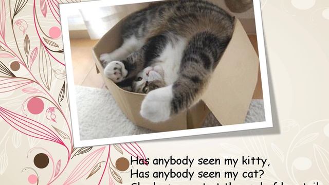 My kitty - весёлая песенка смотреть онлайн