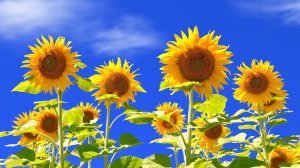 Музыка, Progressive House 2025 | Kaleidoscope #057