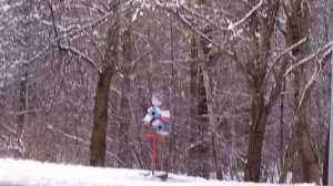 Первый снег в лесопарке, птицы прилетели к кормушкам, гололёд на дорогах парка