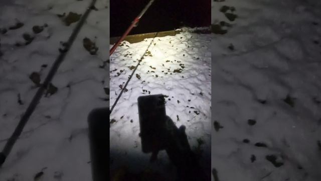 Субъективно о спиннинге TDB-802ML от Jig-It Backwater 4-21 гр Allround