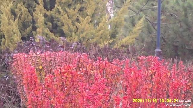 Мариуполь ⚓ сегодня.Приморский район, новые дома 🏢🏗️ смотреть онлайн