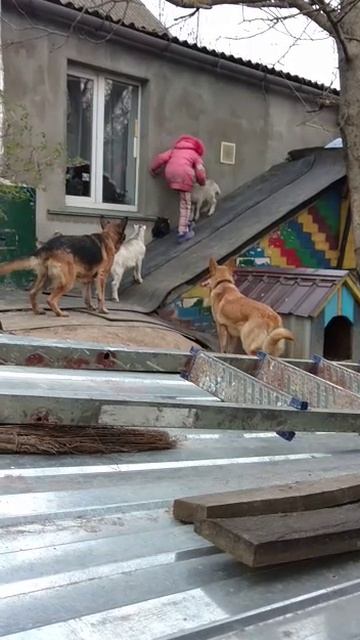 Досуг у козлят... смотреть онлайн