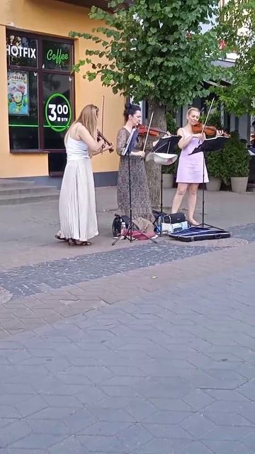 Трио скрипачек на улице Бреста 🎻🎻🎻 смотреть онлайн