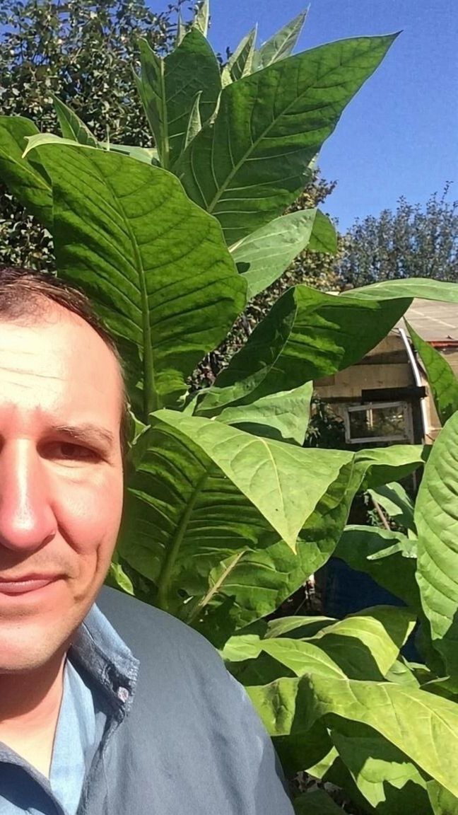 Мой табак смотреть онлайн