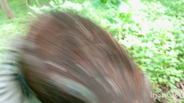 В лесах Кёнигсберга