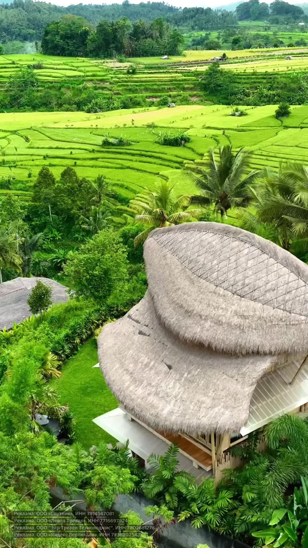 Известные районы Тегалаланг и Джатилувих на острове Бали привлекают туристов своими живописными р... смотреть онлайн