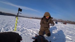 Жерлицы. ПЕРВЫЙ ЛЁД 2025 г. Зимняя рыбалка на щуку и окуня!