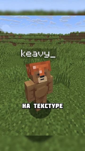 ГЛАВНАЯ ПРОБЛЕМА МАЙНКРАФТА #shorts смотреть онлайн