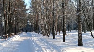 ВОРОЖИЛА ЗИМА, КОЛДОВАЛА