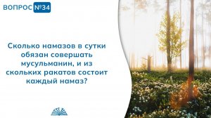 Вопрос № 34. Назовите количество намазов и ракатов, совершаемых в сутки? | Абу Яхья Крымский