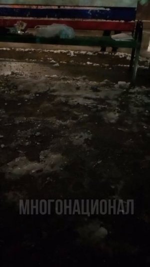 Обстановка культурного обмена в Химках.