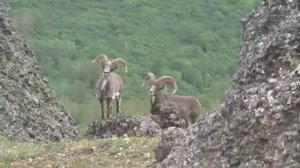 В горах Корякского нагорья не бывает скучно.