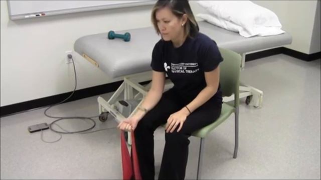 Сгибания кисти с резиной / Seated Curls with Theraband смотреть онлайн