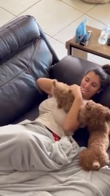 Какие красивые, большие, щенки...вот бы их потискать смотреть онлайн