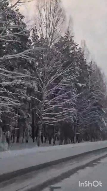 1000076636.mp4 смотреть онлайн