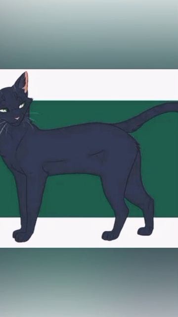 Остролистая эдит☘☘☘