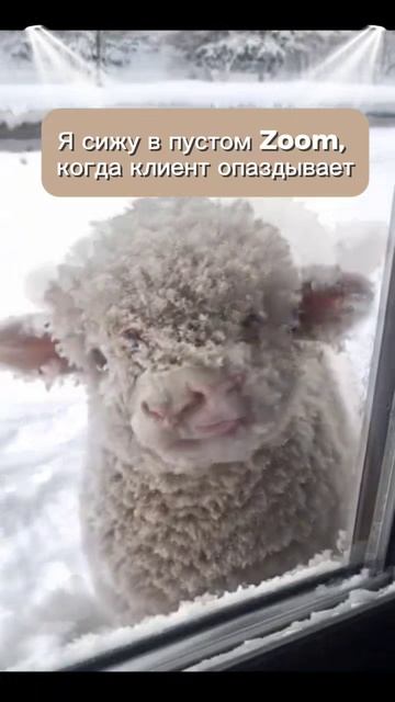 О наболевшем 😅