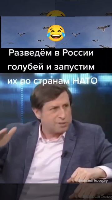 Разведем в России голубей, и запустим их по странам НАТО. смотреть онлайн