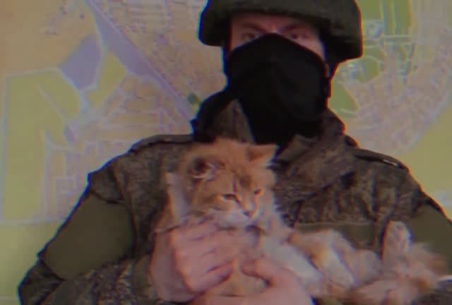 Warriors And Cats