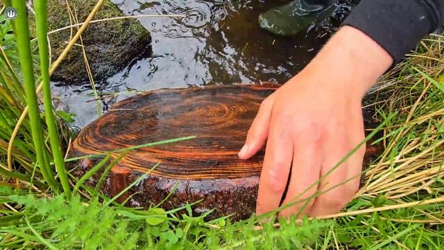 41. Еда на природе АСМР