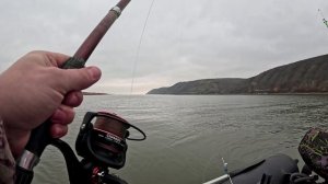 Рыбалка на реке Дон в районе Калача на Дону. Дедовская снасть снова в деле!