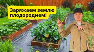 Почва на грядках снова становится плодородной- что делаем осенью.