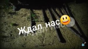 Эхо 90х вот это хабар