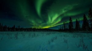 Слышишь снег летит.