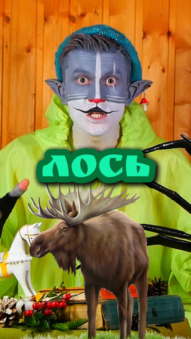 Кот Учёный и Лось 🫎 смотреть онлайн