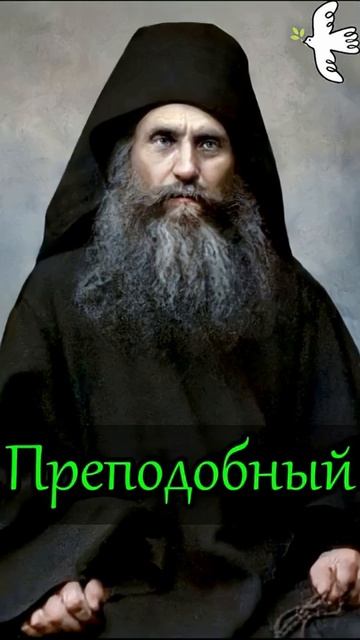 Держи ум твой. Преподобный Силуан Афонский #молитва #православныйцарь #старцы