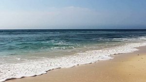 Звук природы. Звуки тропического пляжа: пальмы, волны и райская атмосфера