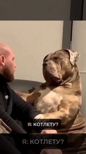 Любимая И котлета ✌