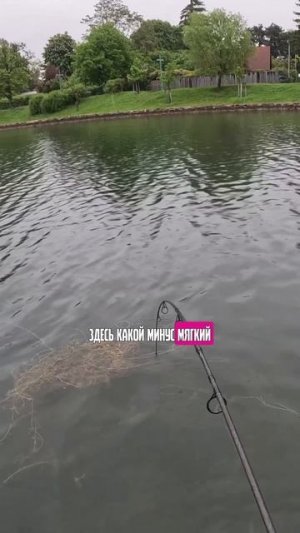 Как ловить БОЛЬШЕ КАРПА?