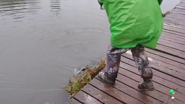 1000052722.mp4 смотреть онлайн