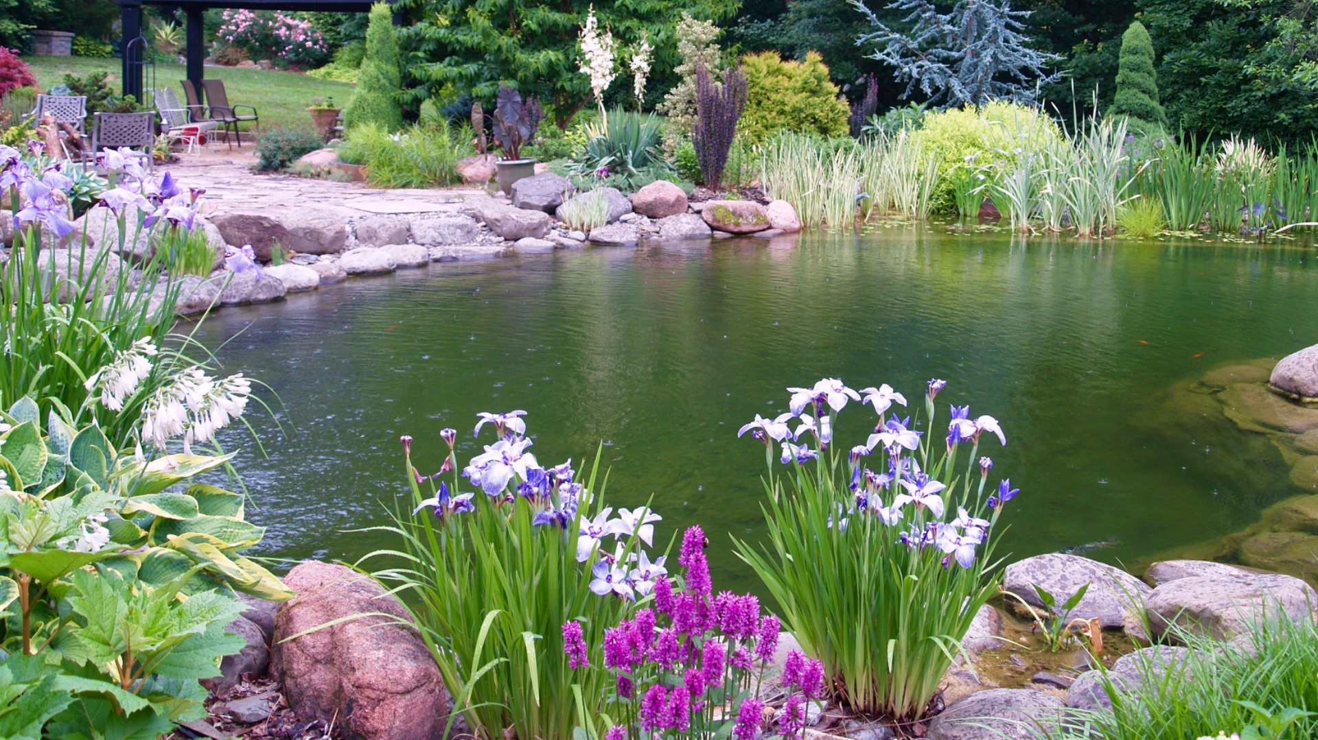 Водоем в саду. Многолетние неприхотливые растения для высадки в водоём. смотреть онлайн